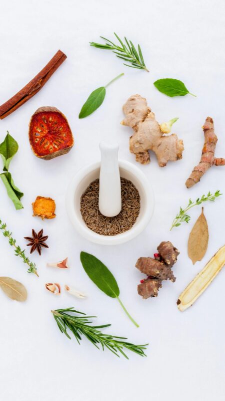 pexels-pixabay-256318 pexels-pixabay-256318